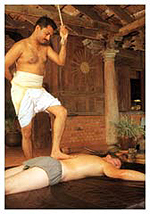 ayur_img1a.jpg